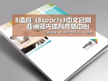 项目名称九