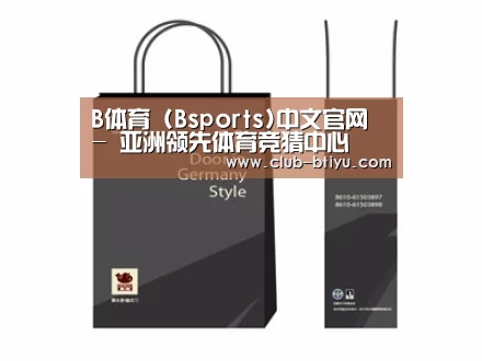 项目名称十四